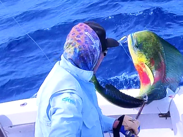 Ambition Report 28th.March'25