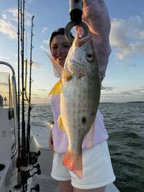 Islamorada Report Photo 1