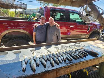 Spring Has Sprung down in Shell Beach, L