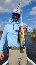 150 Largemouth Bass Caught!