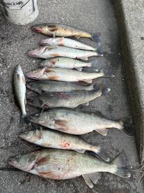 Fishing is great