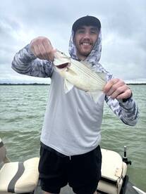 Wylie Report Photo 2