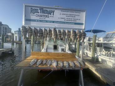 Biloxi Report Photo 2