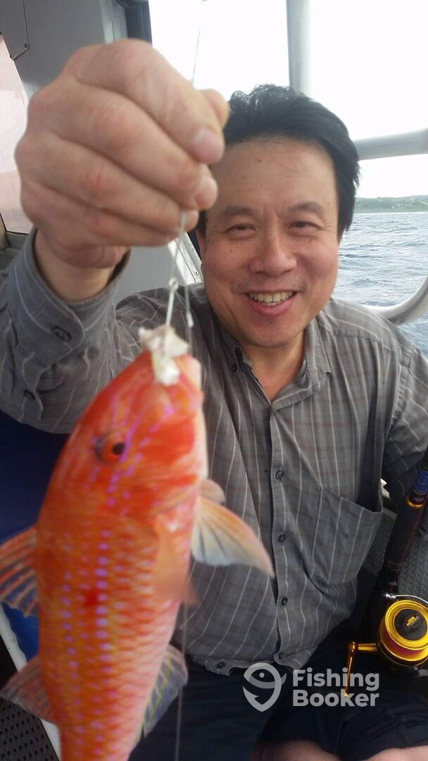 Cuvu Report Photo 0