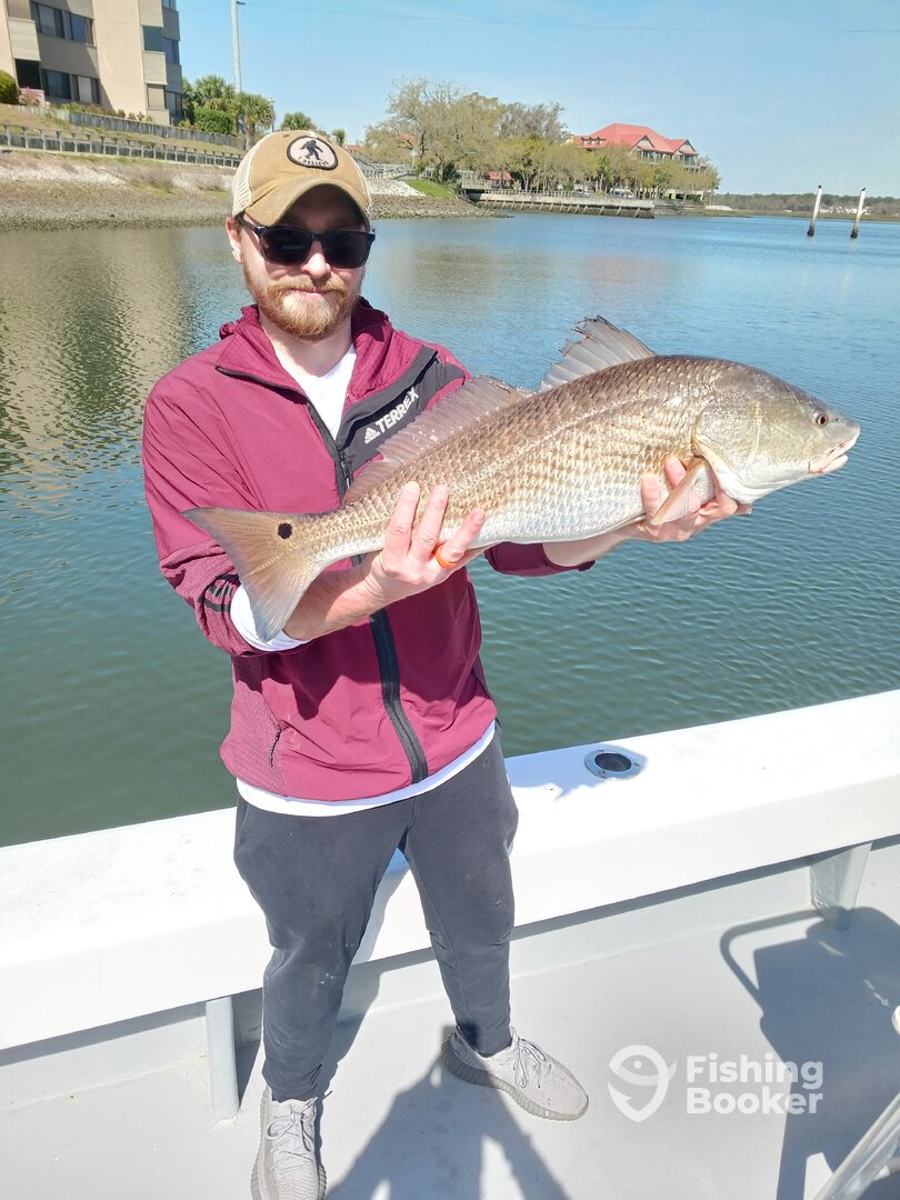 Hilton Head Island Report Photo 0