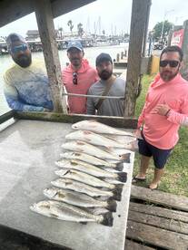 Port Isabel Report Photo 2
