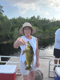 Nueva Arenosa Report Photo 1