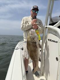 Dauphin Island Report Photo 1