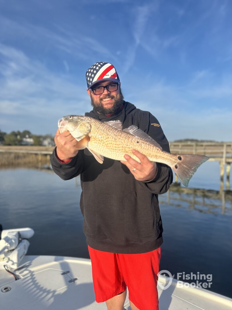 Charleston Report Photo 0