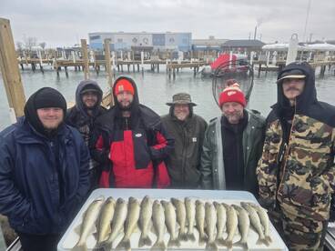 Detroit River Walleye