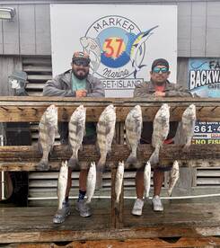 Fishing is good!