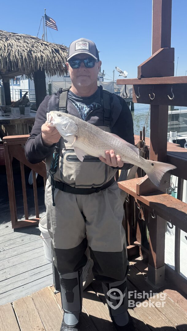 Corpus Christi Report Photo 0