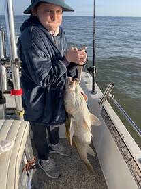 Galveston Report Photo 1