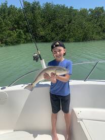 Redfish