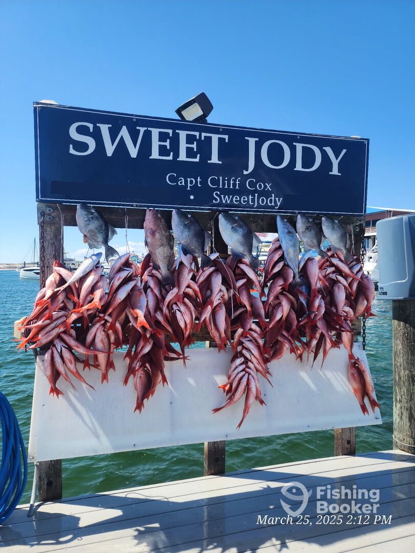 Destin Report Photo 0
