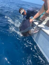 Sailfish! Great day w/Family of 6 