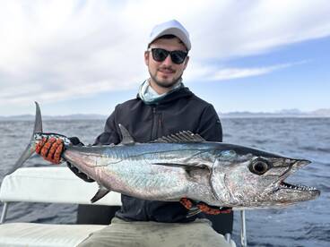 The Ultimate Red Sea Duo