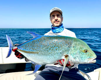 Spanish Anglers vs. the Red Sea