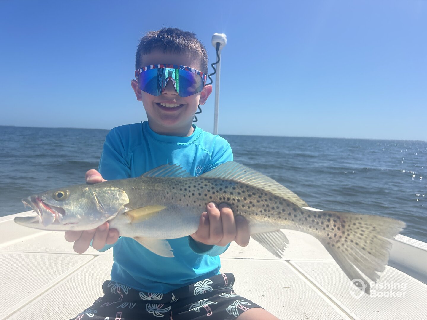 Cape Coral Report Photo 0