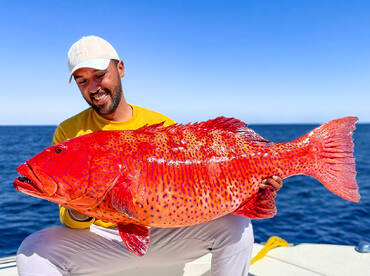 Coral Trout Fishing with Reefer