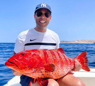 Hurghada Report Photo 1