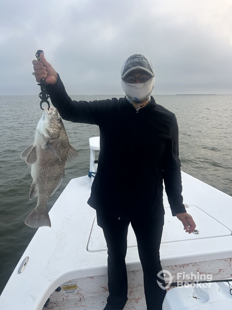 Port Isabel Report Photo 0