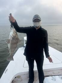 Drum, Redfish And Trout