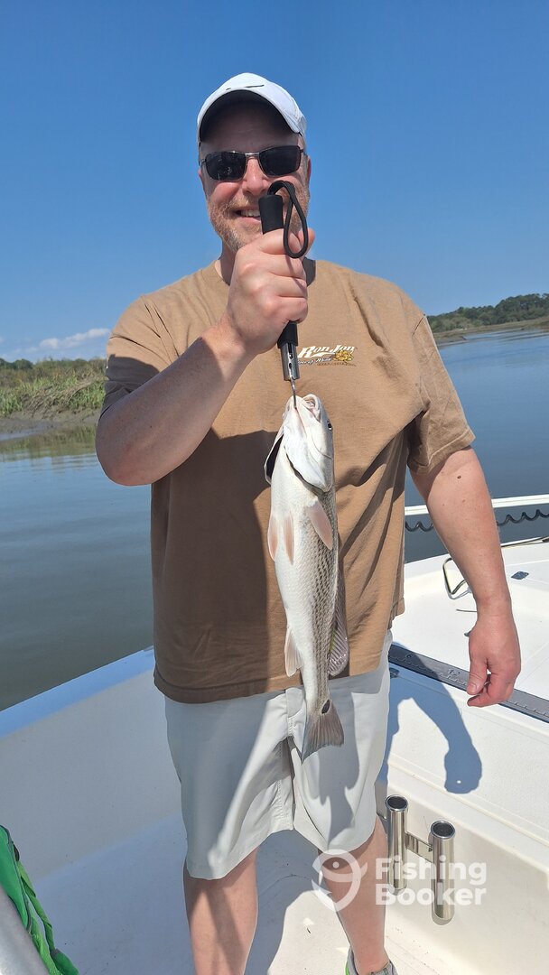 Hilton Head Island Report Photo 0