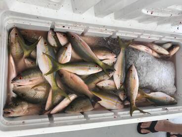 Key West Report Photo 1