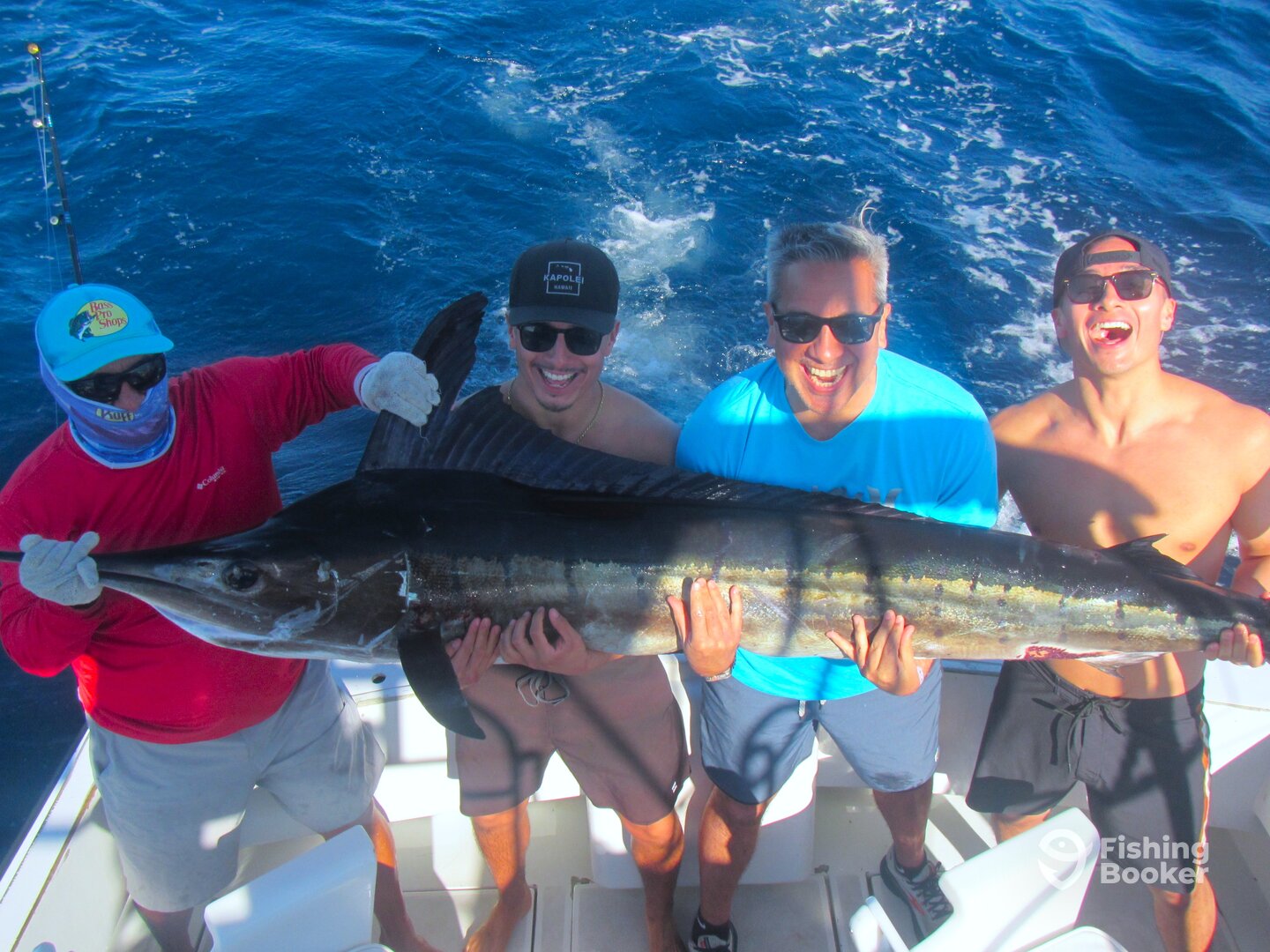 Cabo San Lucas Report Photo 0