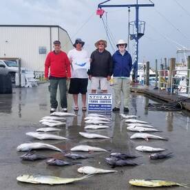 Great Bottom Fishing