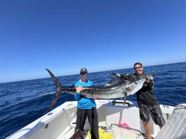Cabo San Lucas Report Photo 2