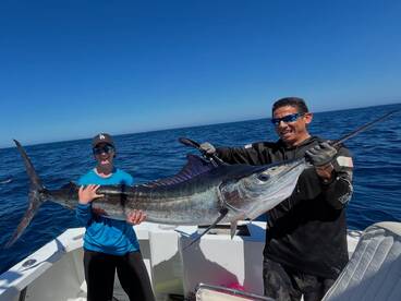 Cabo San Lucas Report Photo 1