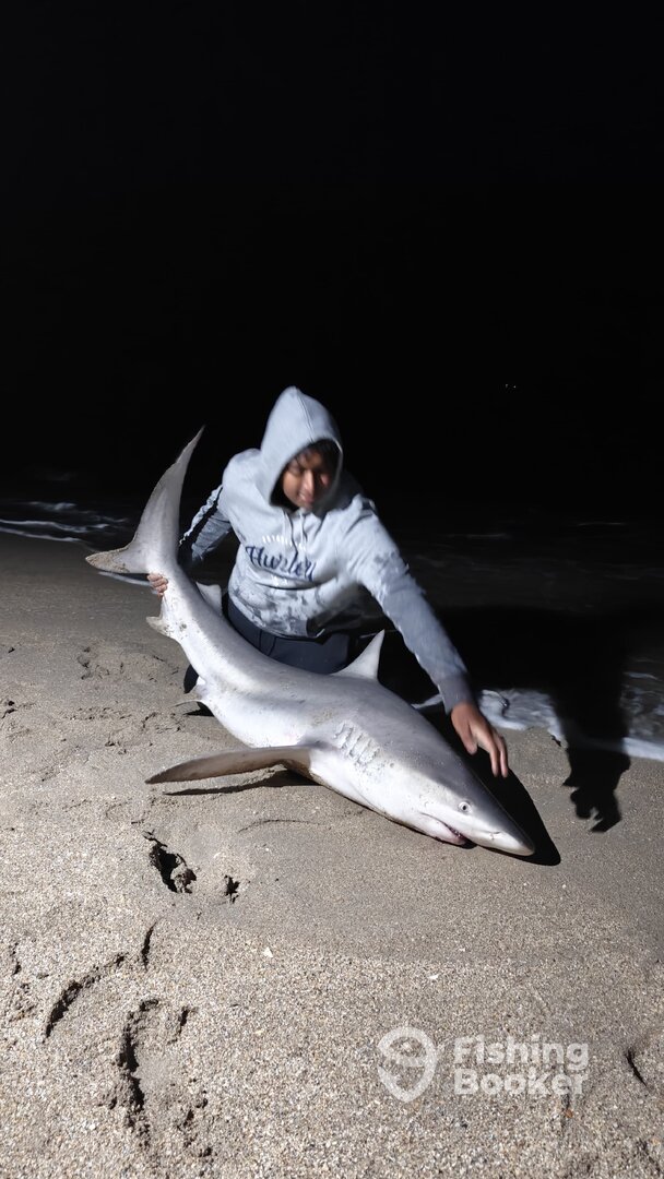 Indialantic Report Photo 0