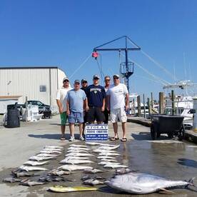 Fantastic Wreck Bottom Trip