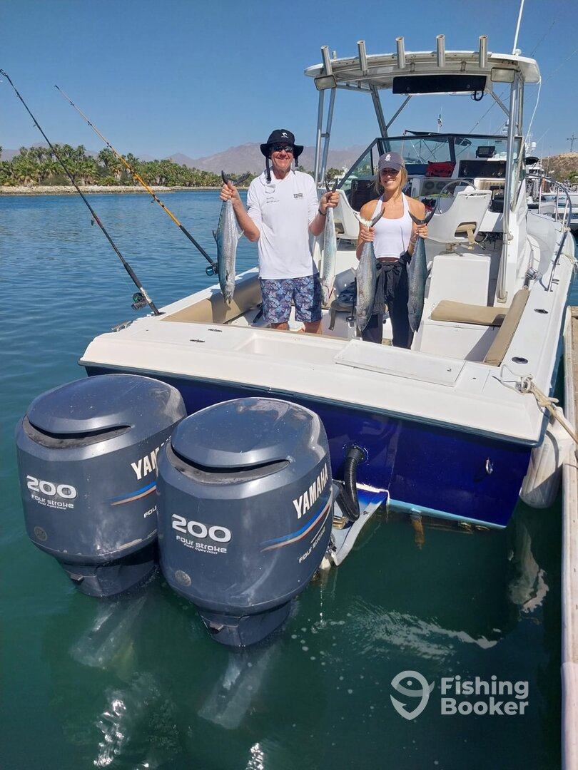 San Jose del Cabo Report Photo 0