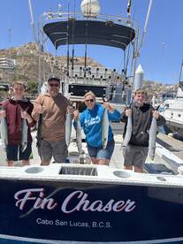 Cabo San Lucas Report Photo 2