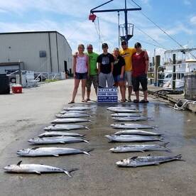 Beautiful King Mackerel