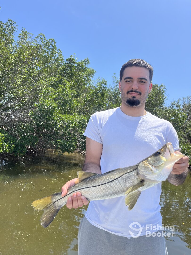 Tampa Report Photo 0