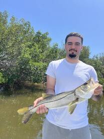 Its the most wonderful time of the year 