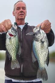 Clover Report Photo 2