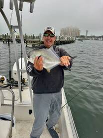 Destin Report Photo 1