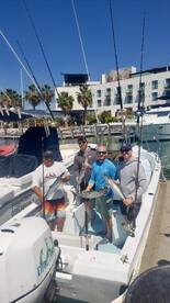 San Jose del Cabo Report Photo 1