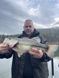 Branson Report Photo 1