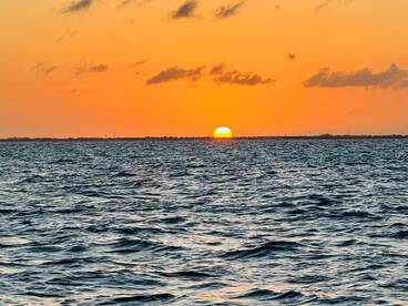 Bioluminescence excursion 
