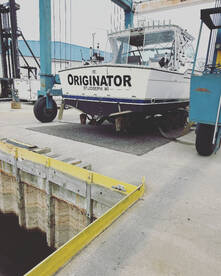 Coho Salmon Steak of the Lake. 