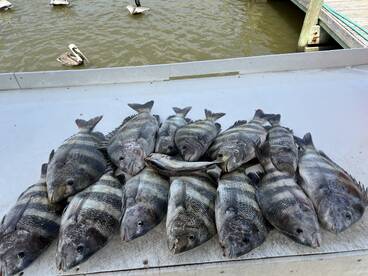 Fiahing april 3rd inshore