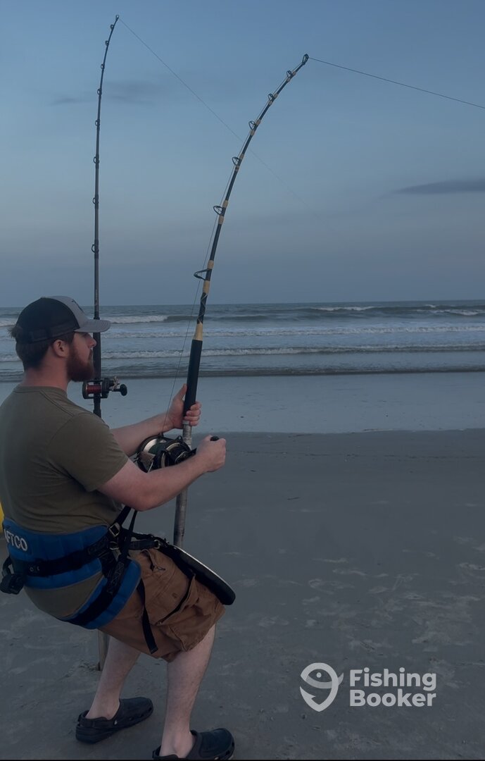 Harnessed up fighting a shark!