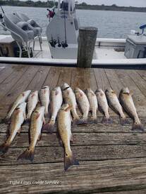 Port O'Connor Report Photo 2