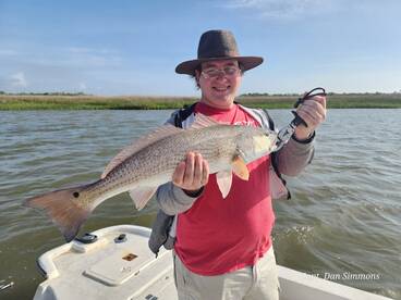 Tybee Island Report Photo 2
